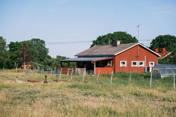 Korpoströms Gård hus på ett fält.