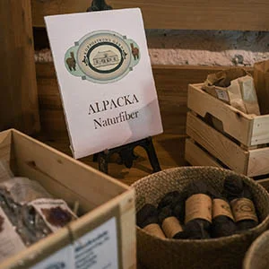 Visning av alpackaull i Korpoströms mazasinet